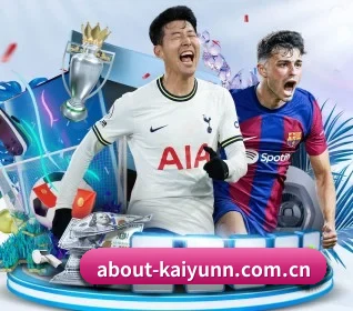 about-kaiyunn.com.cn APP 界面